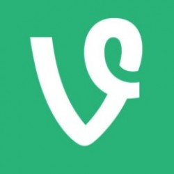 Vine