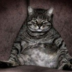 Tembelim , güzel yatarım.