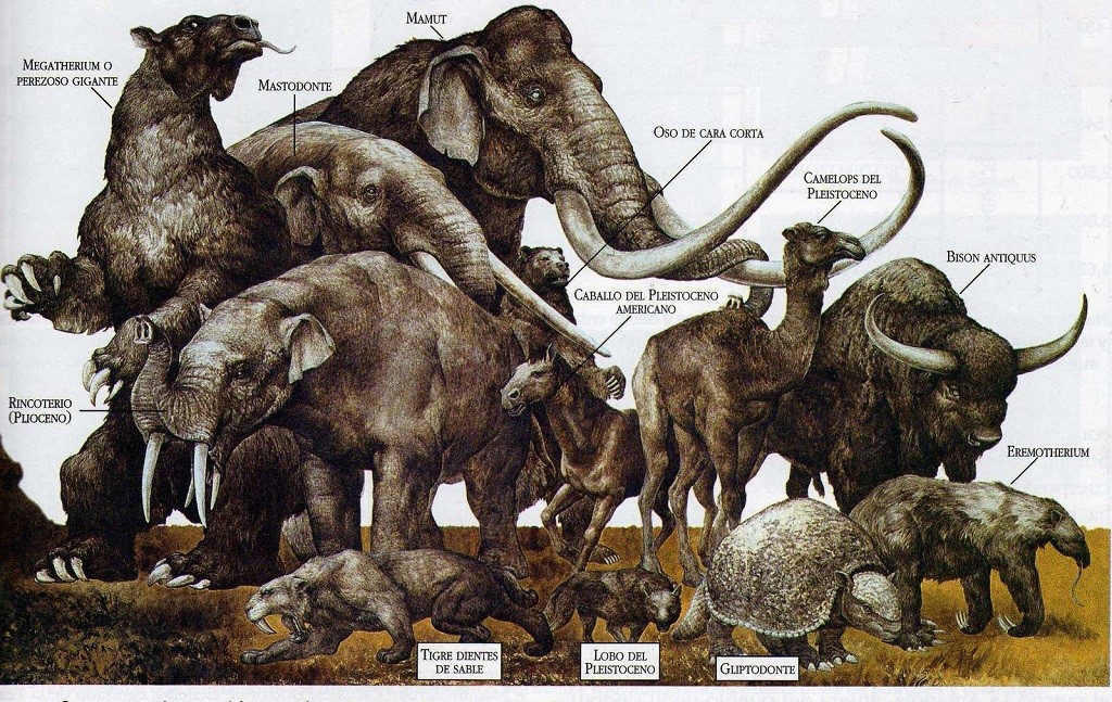 Megafauna neden yok oldu?