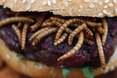 Bu İğrençlik Dolu Ankette Sen Hangilerini Tercih Ederdin?