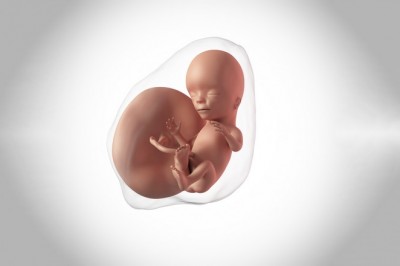 Hamilelikte 15. Hafta Neler Yapılmalı?