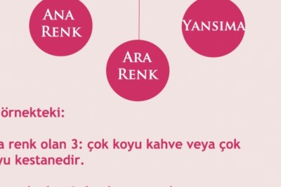 Boya Kutusundan Saçımızda Hangi Rengin Tutacağını Nasıl Anlarız?