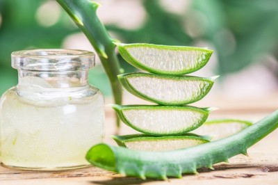 Aloe Veranın Faydalarını Size Sunuyoruz