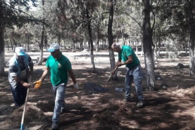 Belediye ekipleri yangınlara karşı ormanda temizlik yaptı