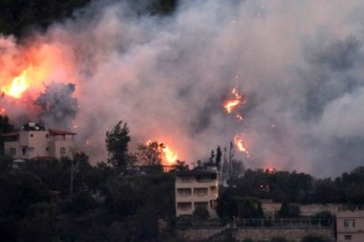 Hatay’da orman yangını