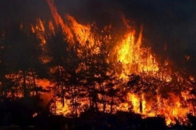 Orman yangınlarını anında haber veren ve müdahale eden keşif