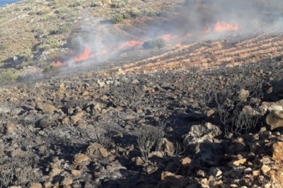 Datça’da makilik yangını başladı