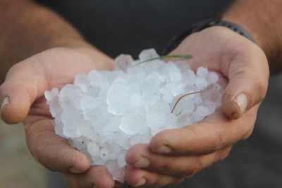 Erzincan'da dolu yağışı sebze ve meyveyi vurdu