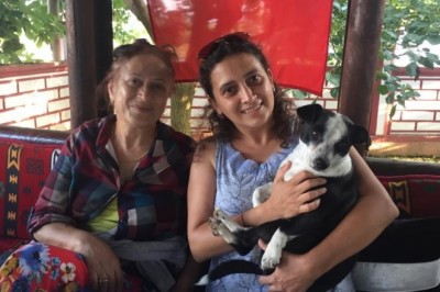 Kaybolan köpek için verilen para ödülü sokak hayvanlarına mama olarak döndü