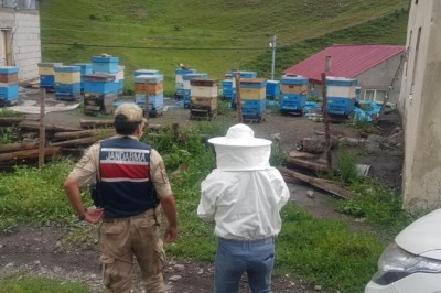 İzoleli coğrafi bölgeye arı ırkı sokan şahsa 15 bin 203 lira ceza kesildi