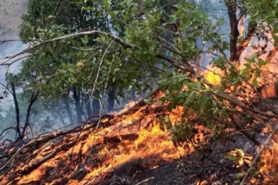 Şemdinli’de orman yangını