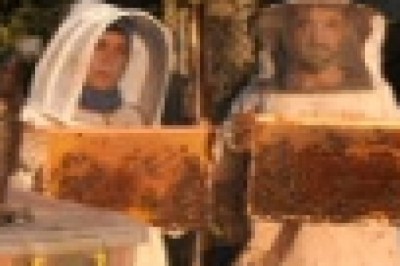 Hobi olarak başladığı arıcılıkta en büyük destekçisi eşi oldu