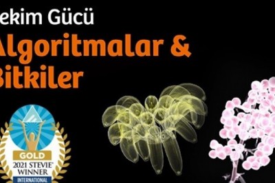 Algoritmalar ve Bitkiler Sergisi, Stevie Uluslararası İş Ödülleri’nde altın ödül kazandı