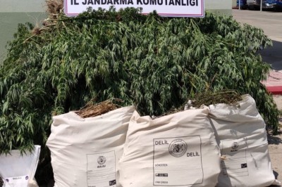 Osmaniye’de esrar ve kenevir ele geçirildi