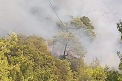 Seydikemer'de orman yangını