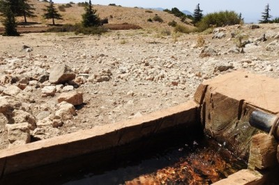 Su kaynakları yaban hayatı için de verimli kullanılacak
