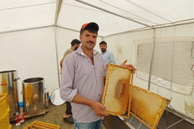 Adıyaman’da ‘geven’ balı sağımı başladı