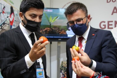 Ankara’ya ata tohumu damga vurdu