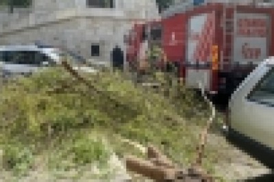 Üsküdar’da kökü çürüyen söğüt ağacı otomobil üzerine devrildi