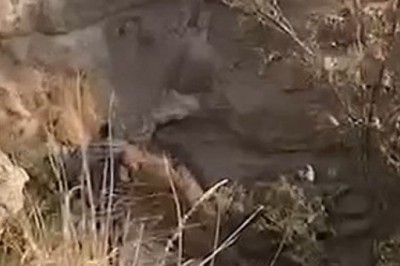 Uçuruma düşen araçtaki 3 kişi burunları bile kanamadan kurtuldu