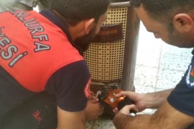 Kafası soba borusuna sıkışan yavru kediyi itfaiye kurtardı