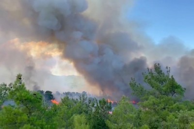 Çanakkale’de orman yangını