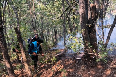 Tunceli’deki yangınlara müdahaleler sürüyor