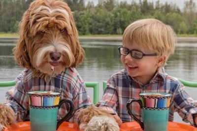 Instagram'da Ünlü Olan Küçük Çocuk Ve Köpeği 