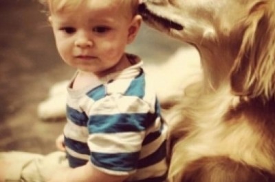 Çocuklarınızı Evcil Hayvanlarla Birlikte Büyütün