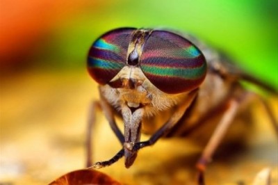 Bunları Öğrenince Çok Şaşıracaksınız