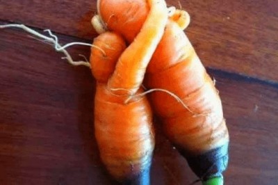 Meyvelerin Son Anda Fikir Değiştirip Başka Bir Şey Olmasına Ne Demeli?