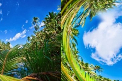 Nasıl Görüyorlar?