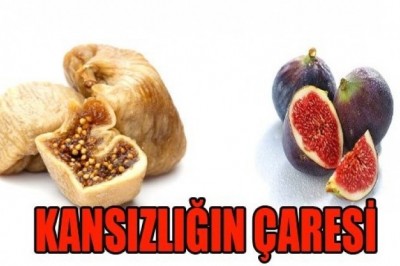 Kansızlık (Anemi ) Nasıl Geçer ?