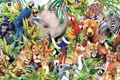 Eski Sevgilinizi Bir Hayvana Benzetseniz Bu Hayvan Hangisi Olurdu?