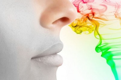 İnsanların En Sevdiği Kokular