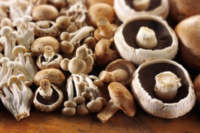 Mantar Nedir ? Mantar Tüketirsek Ne Olur ? Mantarların Türleri Nelerdir ?