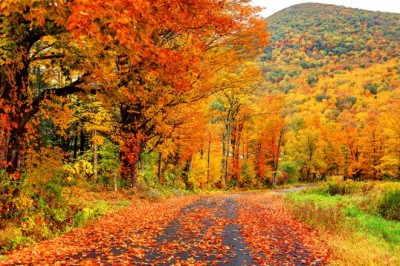 Sonbaharda İzlenecek Filmler