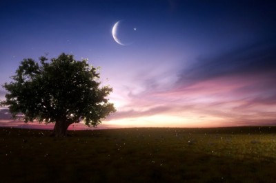 Total'den Cumhuriyet Bayramı İçin Anlamlı Video