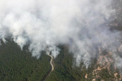 Muğla’da yangınla mücadele hız kesmeden sürüyor