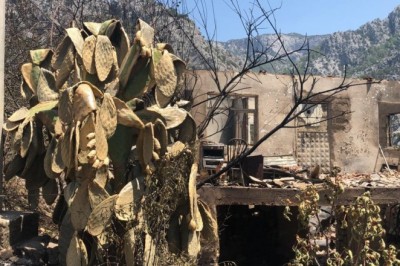 Orman yangınında 64 yıllık hatırası yok oldu