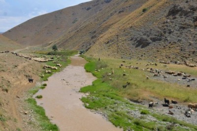 Kuraklık sonrası aşırı yağışlar sele neden oldu