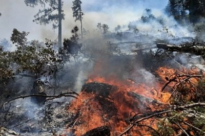 Sındırgı yangın destek ekibi ve yardımlar Muğla yangın bölgesine ulaştı