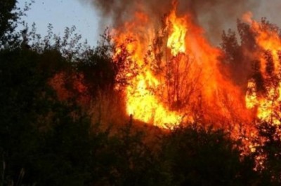 Sütçüler’deki yangın bölgesinde yağmur sevinci