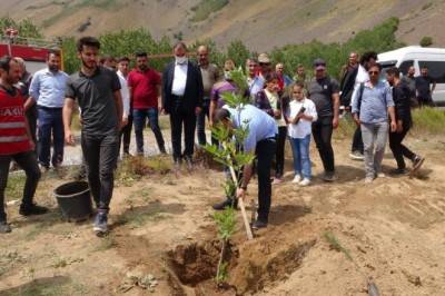 Ülkede çıkan yangınlardan dolayı Nemrut Dağı’nda ağaç dikimi gerçekleştirildi