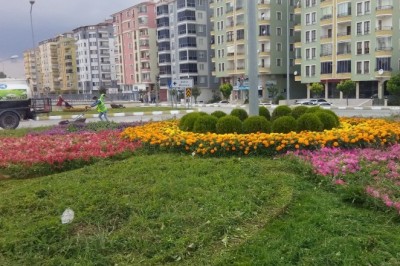 Çorum'da belediye kenti çiçeklerle donatıyor