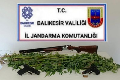 Bigadiç'te jandarmadan kenevir operasyonu