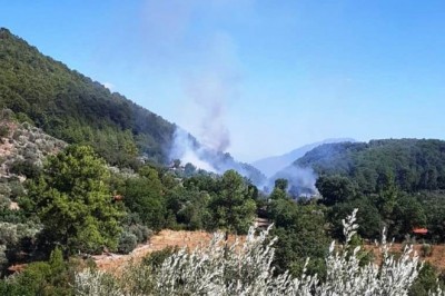 Göcek’teki yangın büyümeden söndürüldü