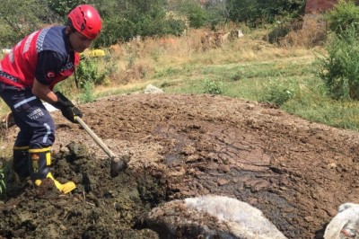 Gübre yığının içine batan eşek, itfaiye ekiplerince kurtarıldı