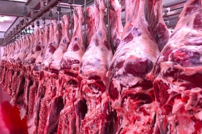 Kurban bayramı nedeniyle kesim azaldı