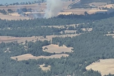 Orman yangını vatandaş ve ekiplerin müdahalesiyle söndürüldü